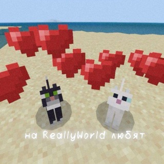 на ReallyWorld любят