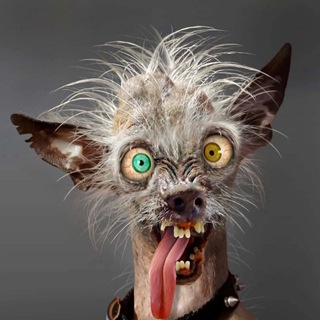 🍀ℝ𝕫𝕙𝕒𝕔𝕙𝕟𝕪𝕪 𝕨𝕚𝕗𝕚🍀