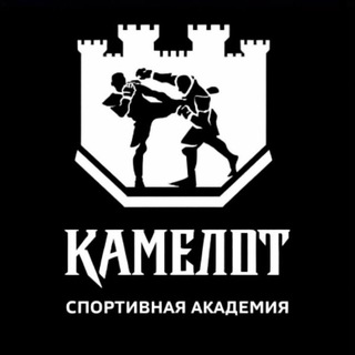 Спортивная Академия Камелот