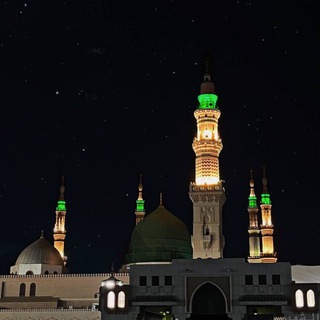 Дагна тайнарг