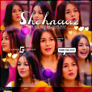 SHEHNAAZIANS😍❤️