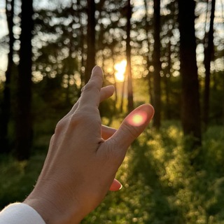 SILA внутри ✨ [мотивация • саморазвитие • вдохновение]