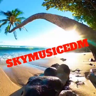 @Skymusicedm🎄🛫🇺🇦