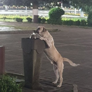 SPOTLIGHT ХА-ХА😂