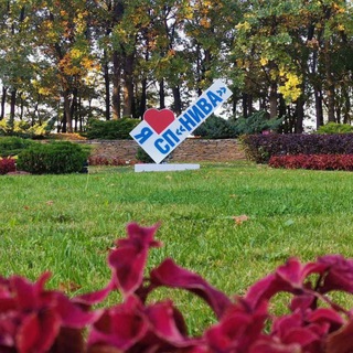 СП "Нива" Газпром трансгаз Саратов