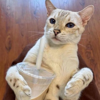 Фоны от 🐈C𝕒𝕥♡S𝕥𝕠r🧸