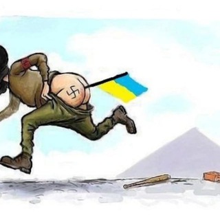 СВО | Россия Украина