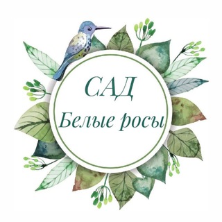 Сад "Белые росы" саженцы