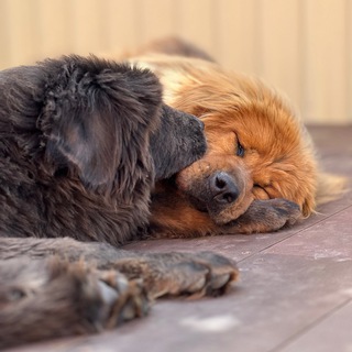 Жизнь, как запись в дневнике