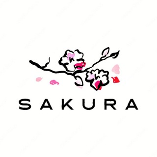 🌸 Sakura News 🌸