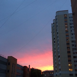 Солёный лось