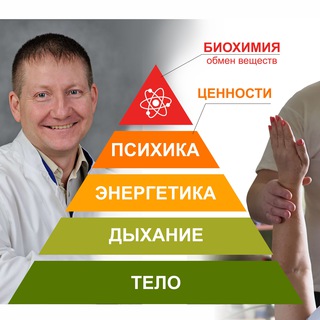 Активное Здоровье. Доктор Шолохов оффлайн и онлайн: Салусология - обучение, марафоны, приёмы