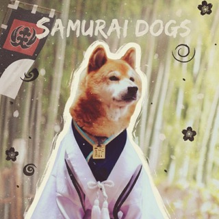 ⚔️samurai dogs⛩️🇯🇵