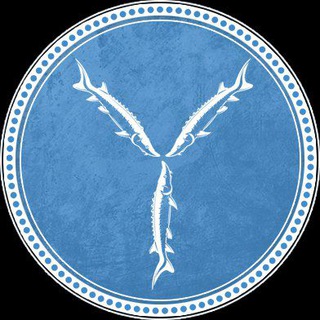 Саратов - Новости (дайджест)