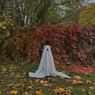 Соня, не спи