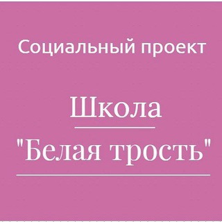 Социальный проект «Школа «Белая трость»