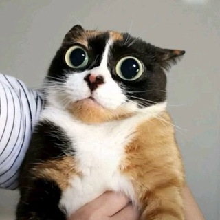 Новые онлайн казино