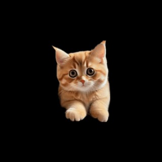 Закрыто на время