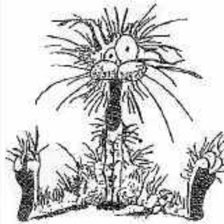 Поселковый сисадмин