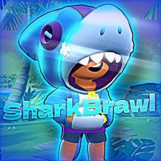 Sharck Brawl🦈