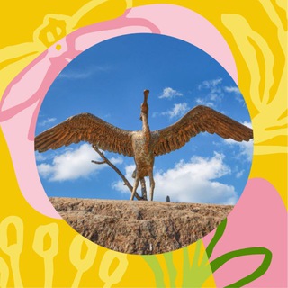 ШАХОВСКАЯ СЕГОДНЯ