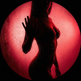 Shame Free Zone | О самом личном