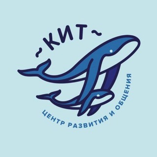 Центр «Кит» с Ириной Шаврыгиной