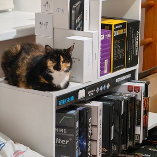 Шизофренический бред Багета (Сборка ПК)