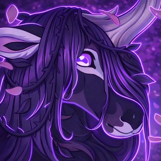 Night Étoile | Horse Life Shop | NéT