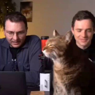 𝐒𝐡𝐩𝐫𝐨𝐭𝐨𝐯 & 𝐑𝐢𝐳𝐨𝐦𝐨𝐯