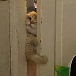 Заметочки SidneyJob