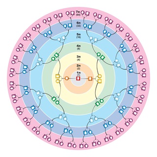 Сила Рода вопросы-ответы