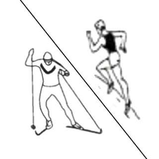 Лыжные и беговые тренировки 🏃‍♂️⛷