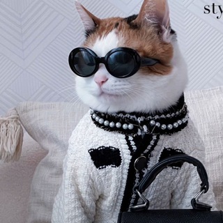 СКУПАЕМ КИТАЙ 🎏