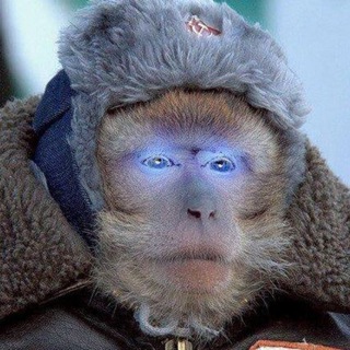 🍺 Штурмослав ️️ Ростов 🦞