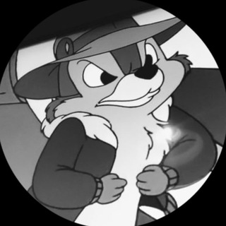 Следствие довели: 2 допроса, 3 запроса