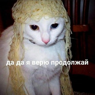 Юмор|Приколы|Смешные видео|мем