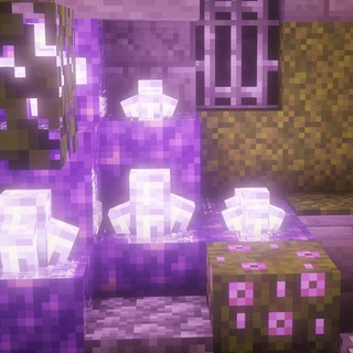 Хроники ❤️