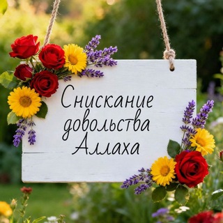 🌾Снискание довольства Аллаха🌾