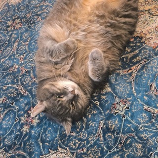 SoVuShKaGT | СТАНДОФФ2 STANDOFF 2