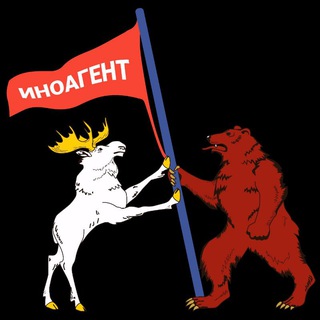 Соколов из Марий Эл