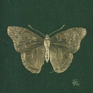 Сундук Солы 16+