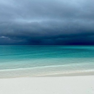 СоматоРелакс BFM