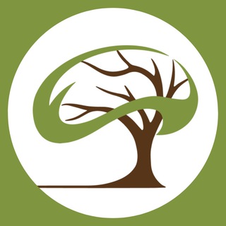 Терапия души