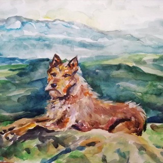 Южный Урал глазами Дюка