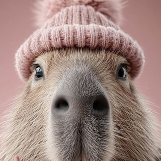 Пространство 4HANDS Спартак