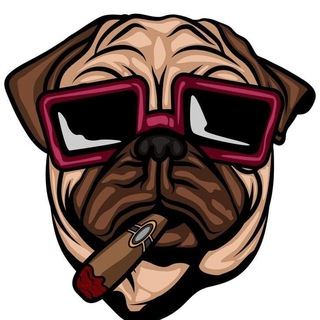 Спины за регистрацию в подарок