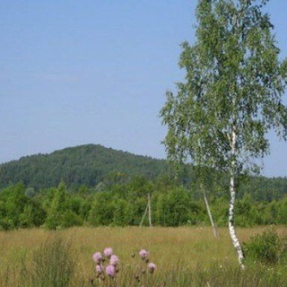 Износки. Срочно и точно