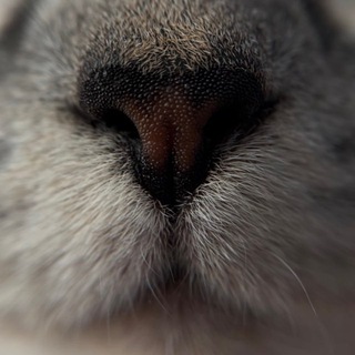 Safe Space для твоей души