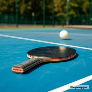 СШОР по настольному теннису ФСО Идель